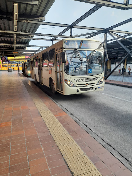 Araucária Transporte Coletivo